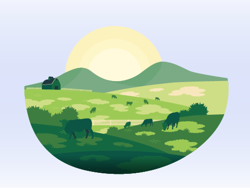 The Complete History of Paintball