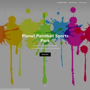 Planet Paintball Sports website thumbnail