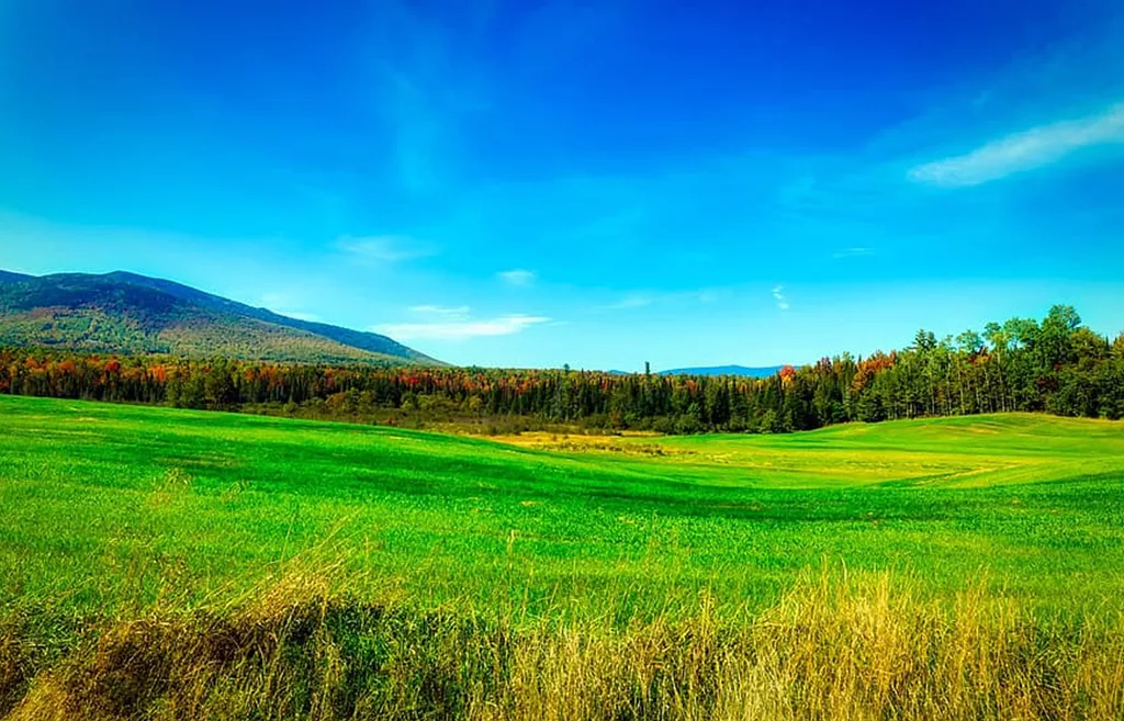 The first paintball game was played on an 80-acre field in New Hampshire not unlike this one.